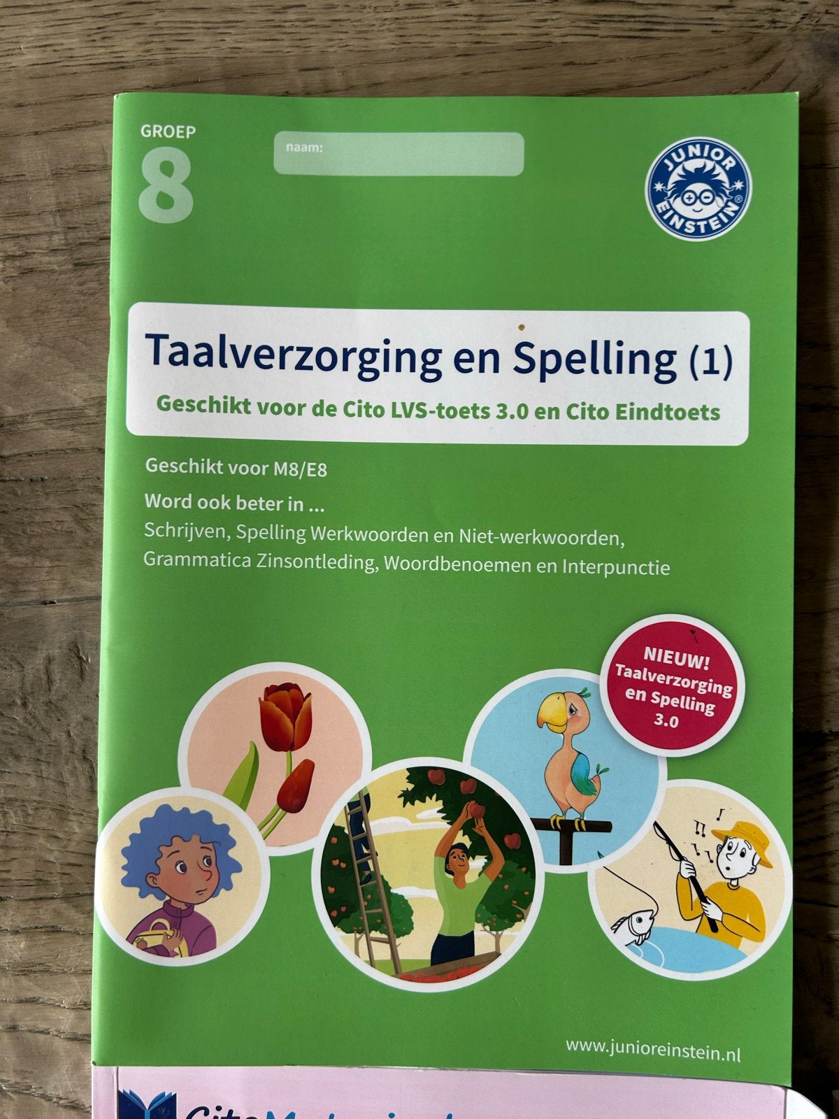Cito oefenboeken en toetsstrainers Groep 8, Ophalen of Verzenden, Gelezen, Overige niveaus, Overige vakken