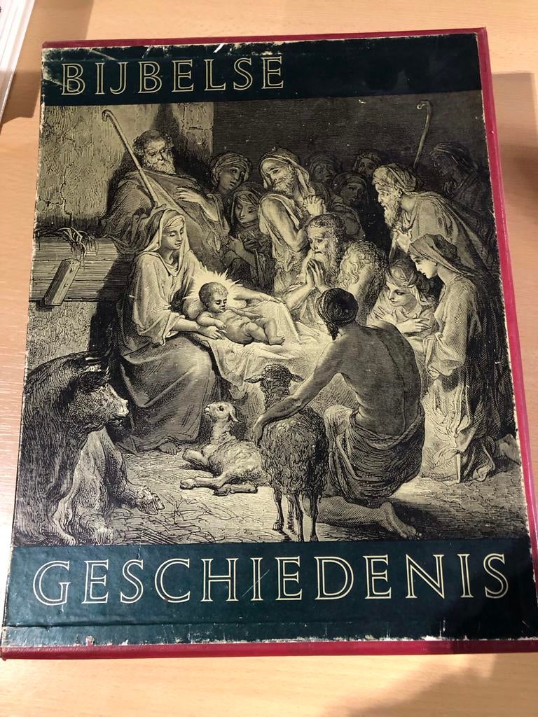 Bijbelse Geschiedenis, Boeken, Ophalen of Verzenden, Gelezen, Christendom | Katholiek