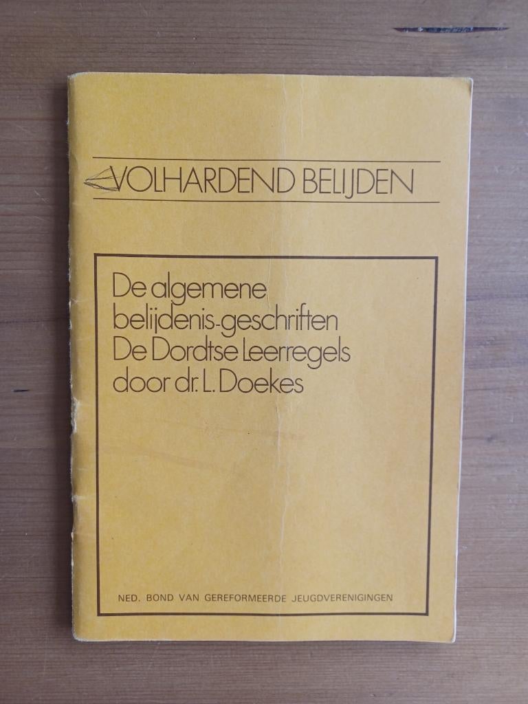 Volhardend belijden - de belijdenis der kerk, Gelezen, Ophalen of Verzenden, Dr. L. Doekes, Christendom | Protestants