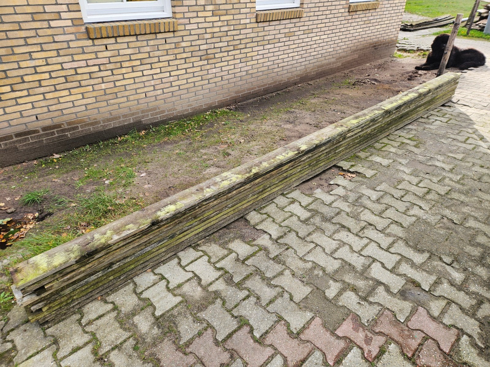 11 gebruikte grenen planken 14,5x2,9 lengte 497-505, Tuin en Terras, Ophalen, Gebruikt, 250 cm of meer, Planken