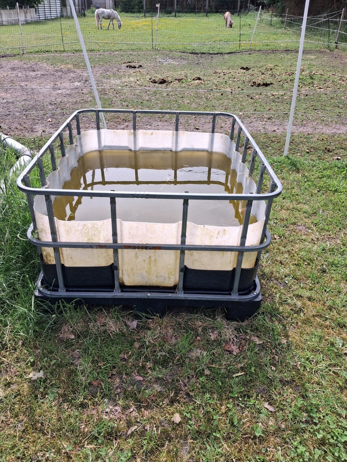 Te koop hooi/waterbak, Dieren en Toebehoren, Ophalen