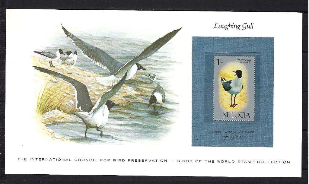 VOGELS kaart St. Lucia Laughing Gull (zegel XX), Postzegels en Munten, Ophalen of Verzenden, Postfris, Dier of Natuur
