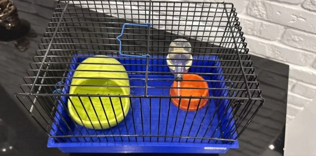 Hamsterkooi, Dieren en Toebehoren, Knaagdieren en Konijnen | Hokken en Kooien, Minder dan 60 cm, Kooi, Gebruikt, Minder dan 75 cm