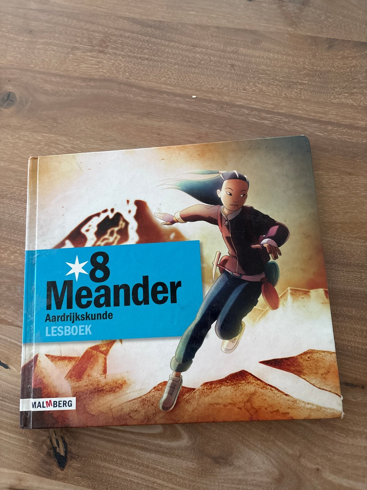 Meander Aardrijkskunde Lesboek Groep 8, Boeken, Ophalen of Verzenden, Gelezen, Overige niveaus, Aardrijkskunde