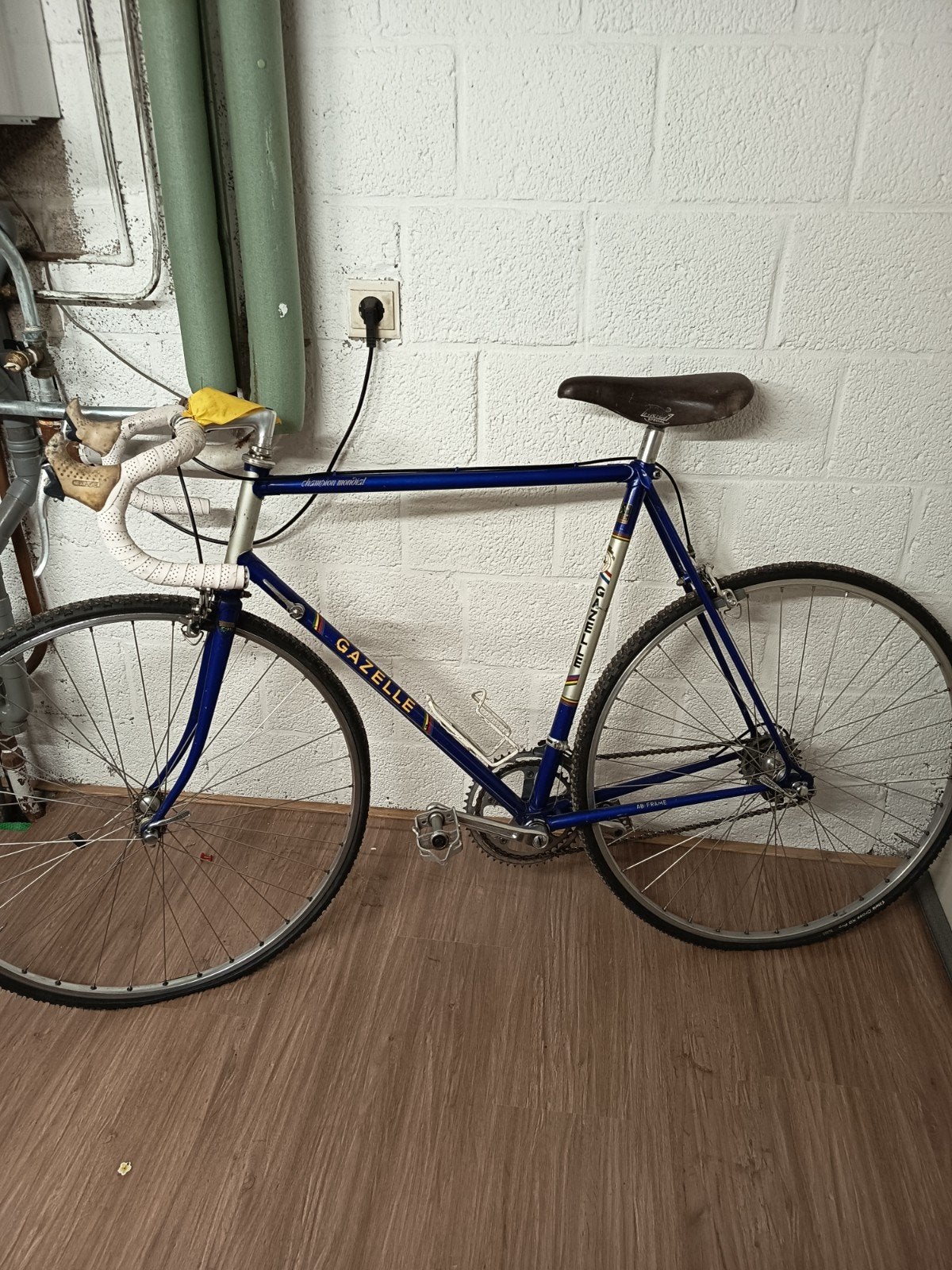 Gazelle Champion Mondiale AB frame wegfietst met crossbanden, Ophalen, Jaren '60 of nieuwer, Velgrem, Gazelle Champion Mondial AB frame