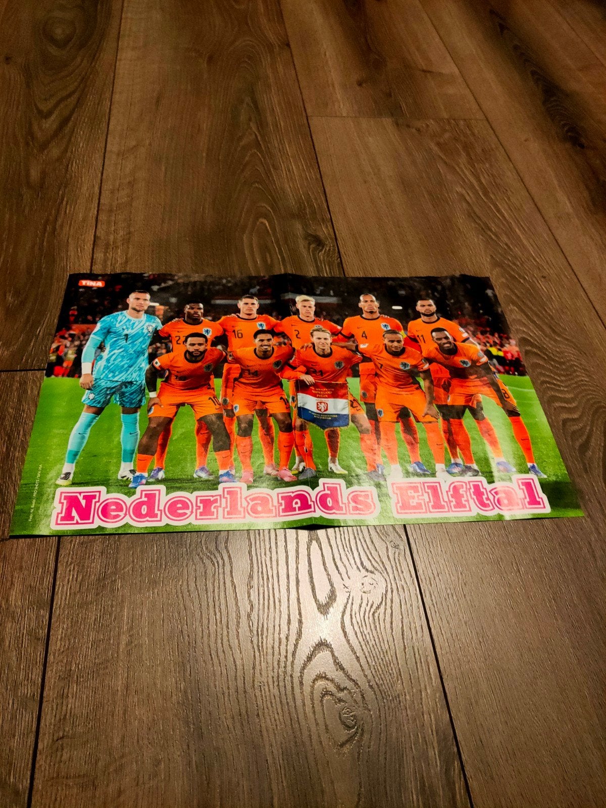 Tina - Nederlandse Elftal Poster, Ophalen of Verzenden, Nieuw, A1 t/m A3