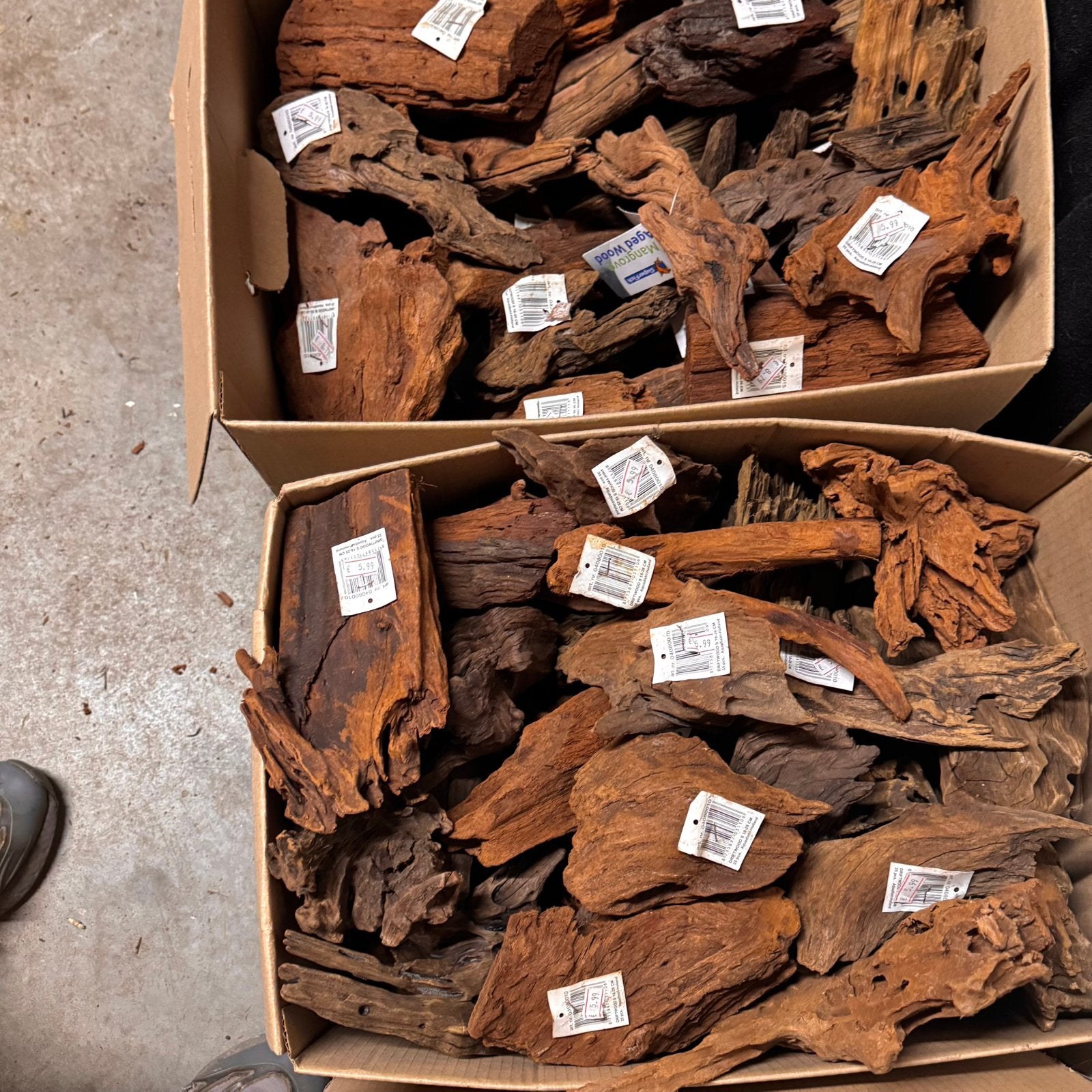+50 Stuks Kienhout / Spiderwood / Driftwood, Hout Decoratie, Ophalen of Verzenden, Plant(en), Steen of Hout