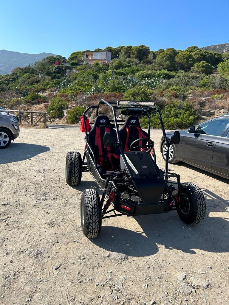 Carter Brother Interceptor Buggy (met auto kenteken)