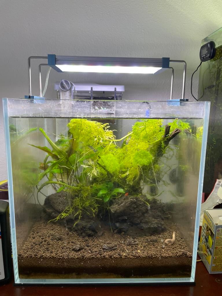 Superfish scaper qube 30 aquarium - Twinstar 200c iii lamp, Dieren en Toebehoren, Vissen | Aquaria en Toebehoren, Ophalen of Verzenden