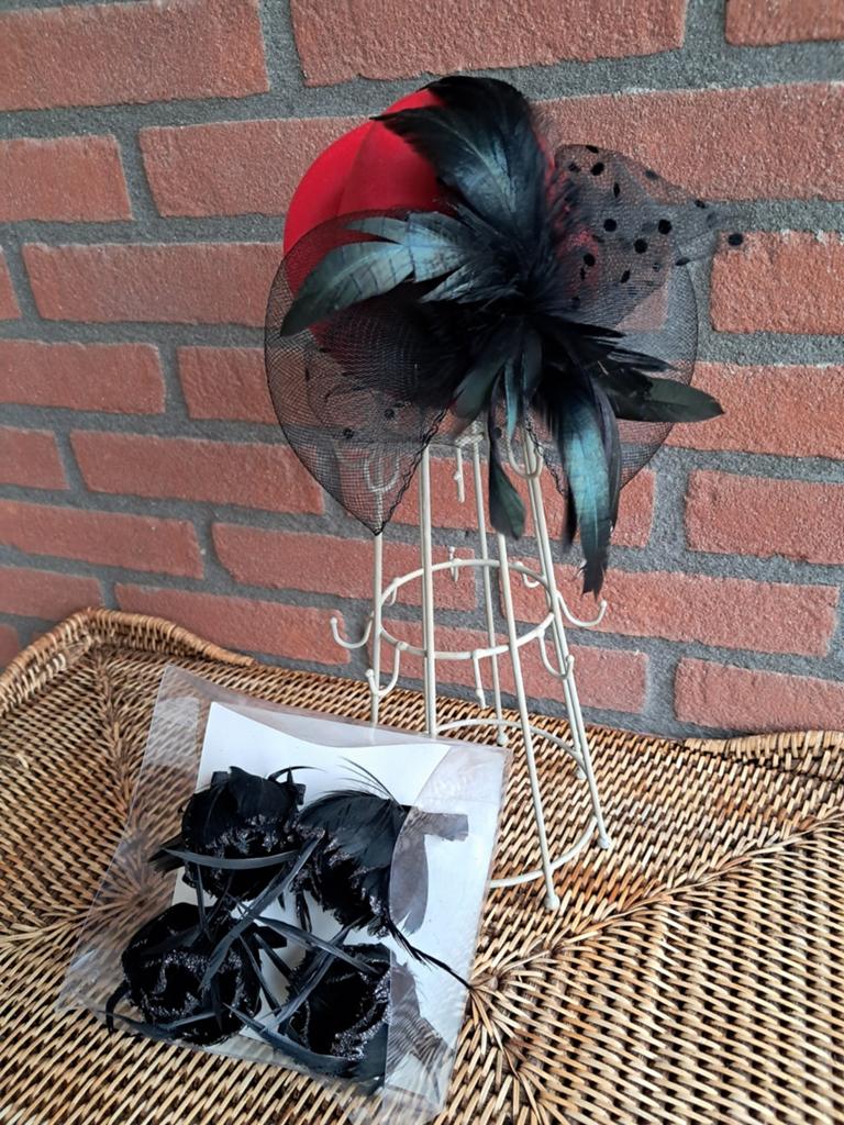 Leuke verschillende haar decoraties voor jong en oud. NIEUW, Ophalen of Verzenden, Nieuw, One size fits all