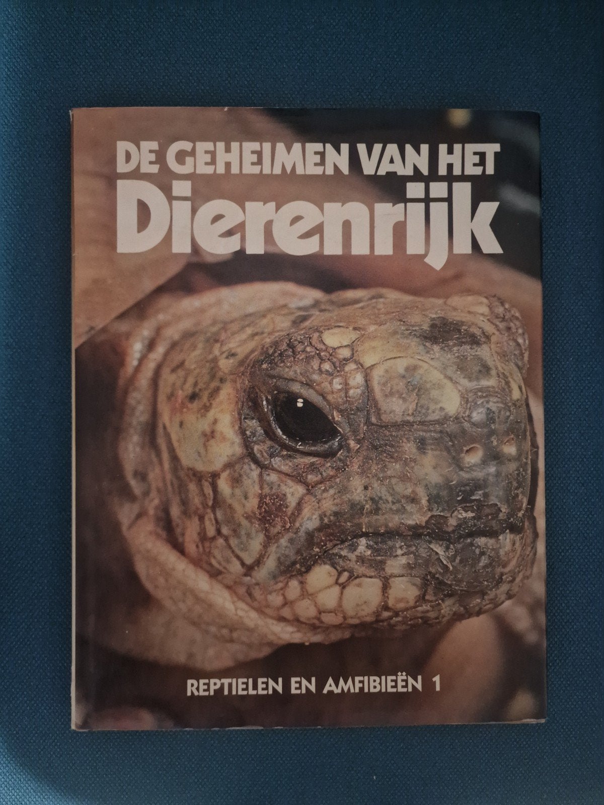 De Geheimen van het Dierenrijk Reptielen en Amfibieën 1, Boeken, Ophalen of Verzenden