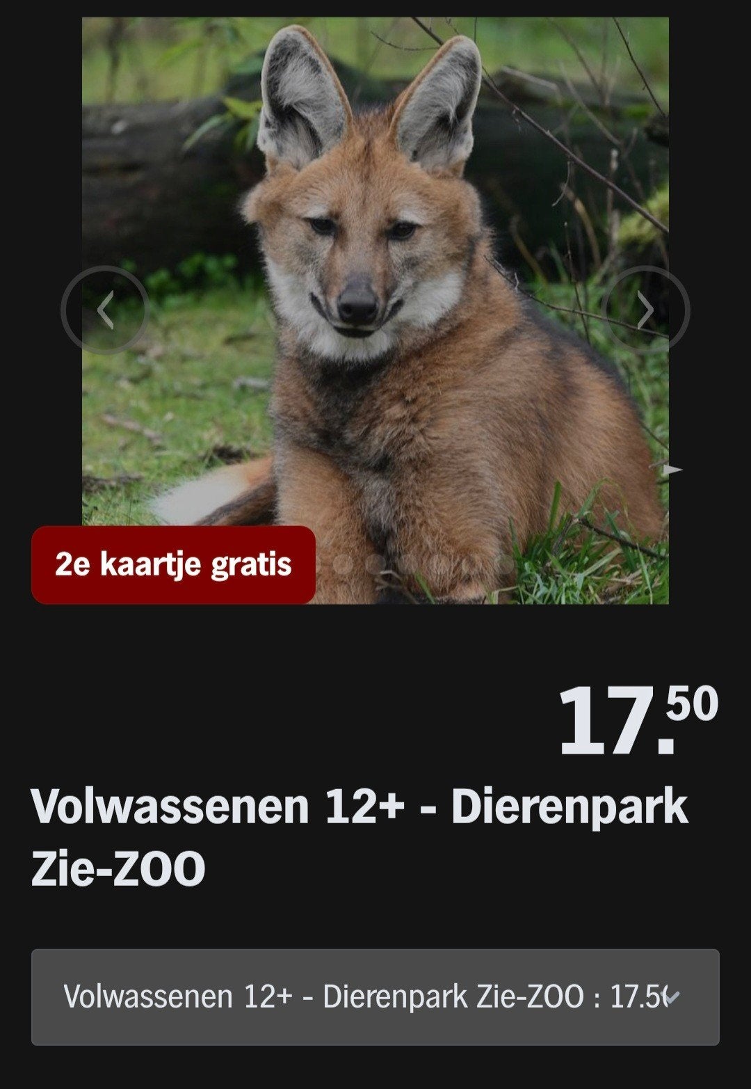 DIERENPARK ZIE-ZOO ♡ 2e kaartje gratis (AH SPAARKAARTEN), Overige typen