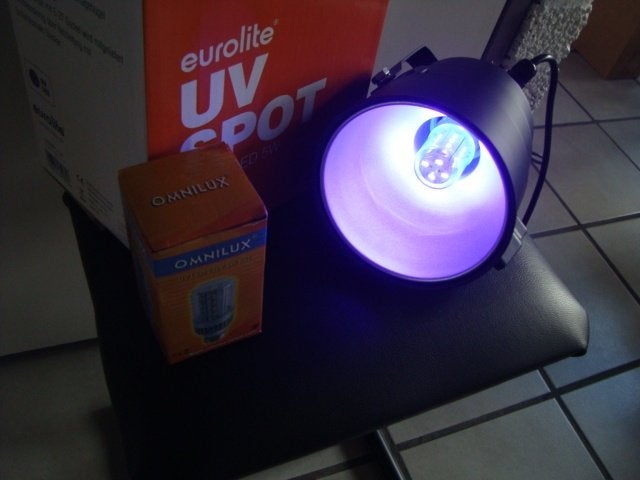 Nieuw: Eurolite UV-Spot met UV LED 5w, 20241024, MTE, Nieuw, Ophalen of Verzenden, Mteurope@outlook.com