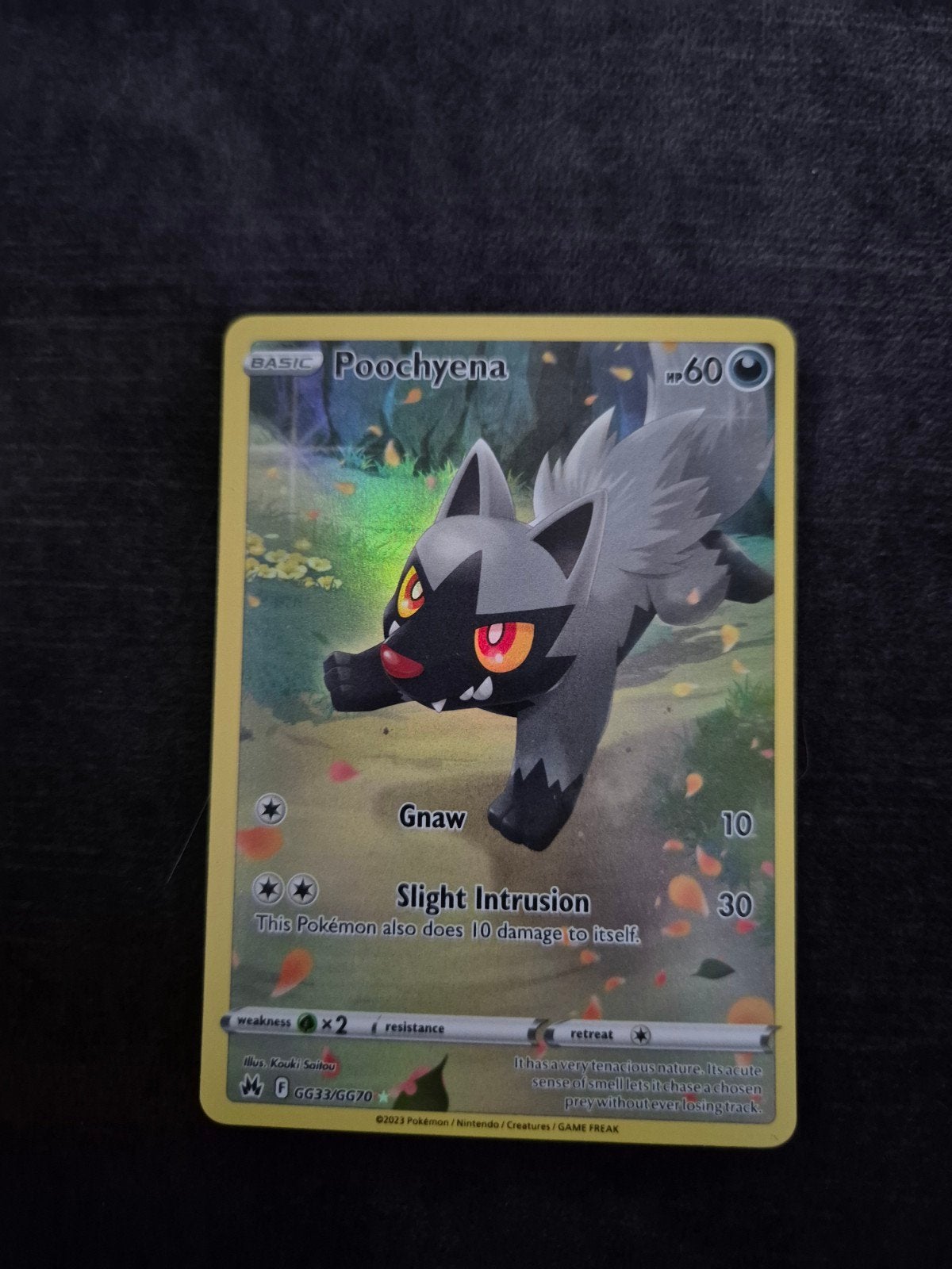 Poochyena gg33/gg70, Ophalen of Verzenden, Nieuw, Losse kaart