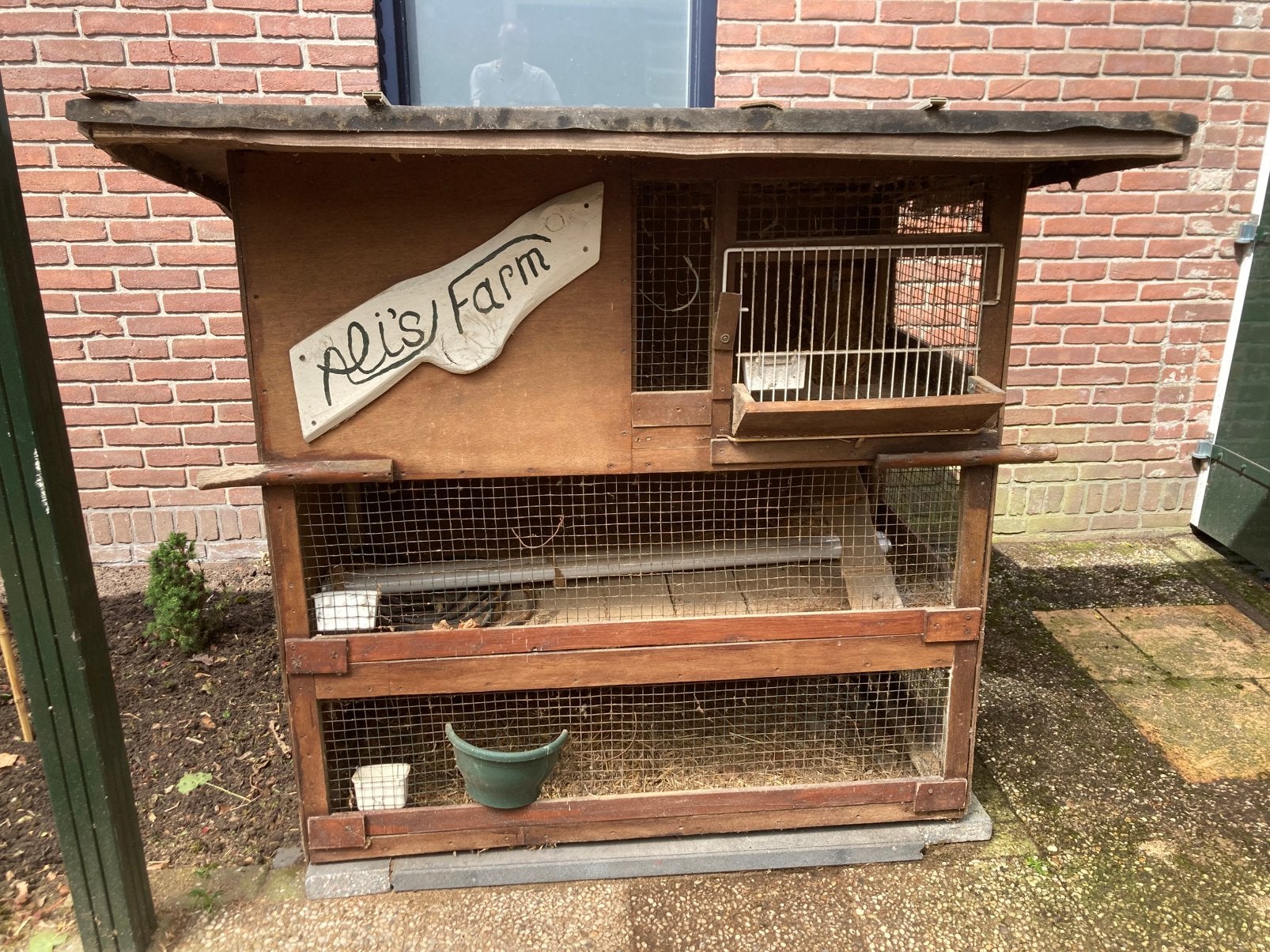 1 groot konijnenhokken (ook kippen), Ophalen, Kooi, Konijn, 90 cm of meer