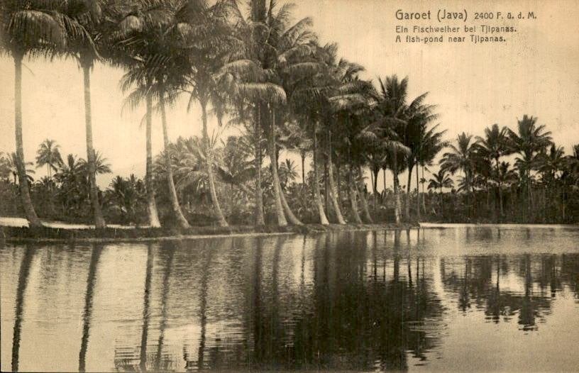 Nederlands Indië - Garoet - 1910, Ophalen of Verzenden, Voor 1920, Ongelopen, Noord-Holland