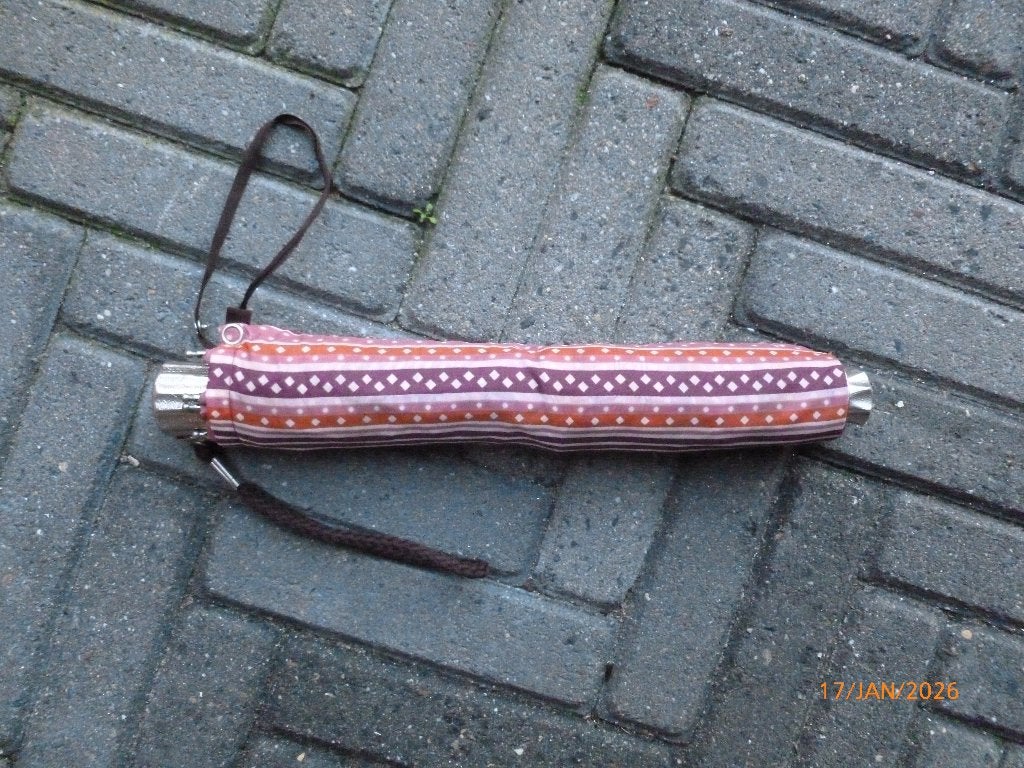 vinted paraplu, Ophalen of Verzenden, Zo goed als nieuw, Overige kleuren