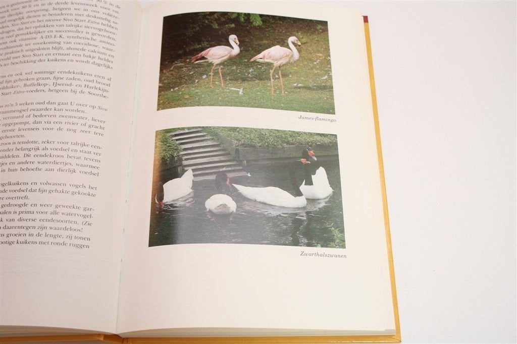 Sierwatervogels — Gids voor Liefhebbers [Met Kleurfoto\'s], Boeken, Ophalen of Verzenden, Zo goed als nieuw, Vogels