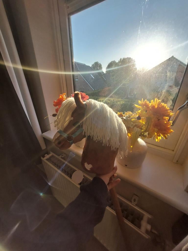 Mooie hobby horse, Boeken, Ophalen of Verzenden, Nieuw, Overige onderwerpen