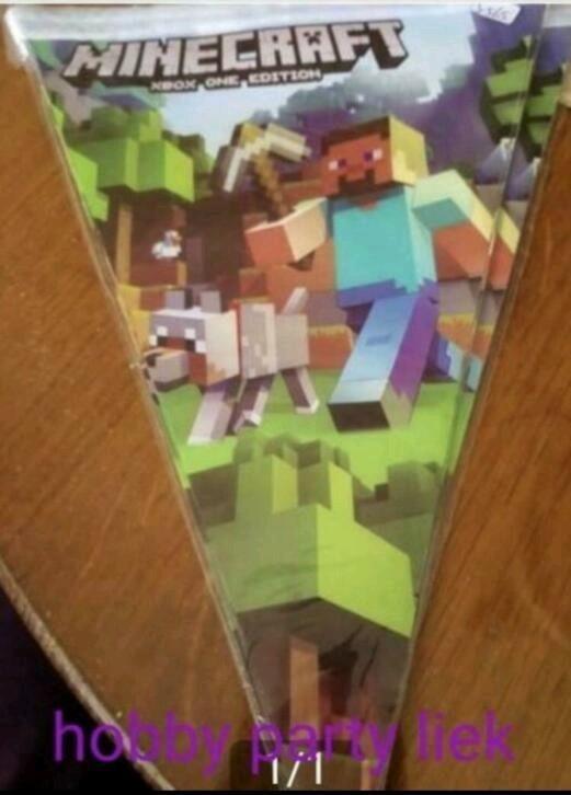 Minecraft vlaggenlijn nr S565, Ophalen of Verzenden, Nieuw, Versiering, Verjaardag