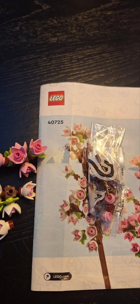 Lego Bloesems 40725 - Inclusief Boekje, Ophalen of Verzenden, Zo goed als nieuw