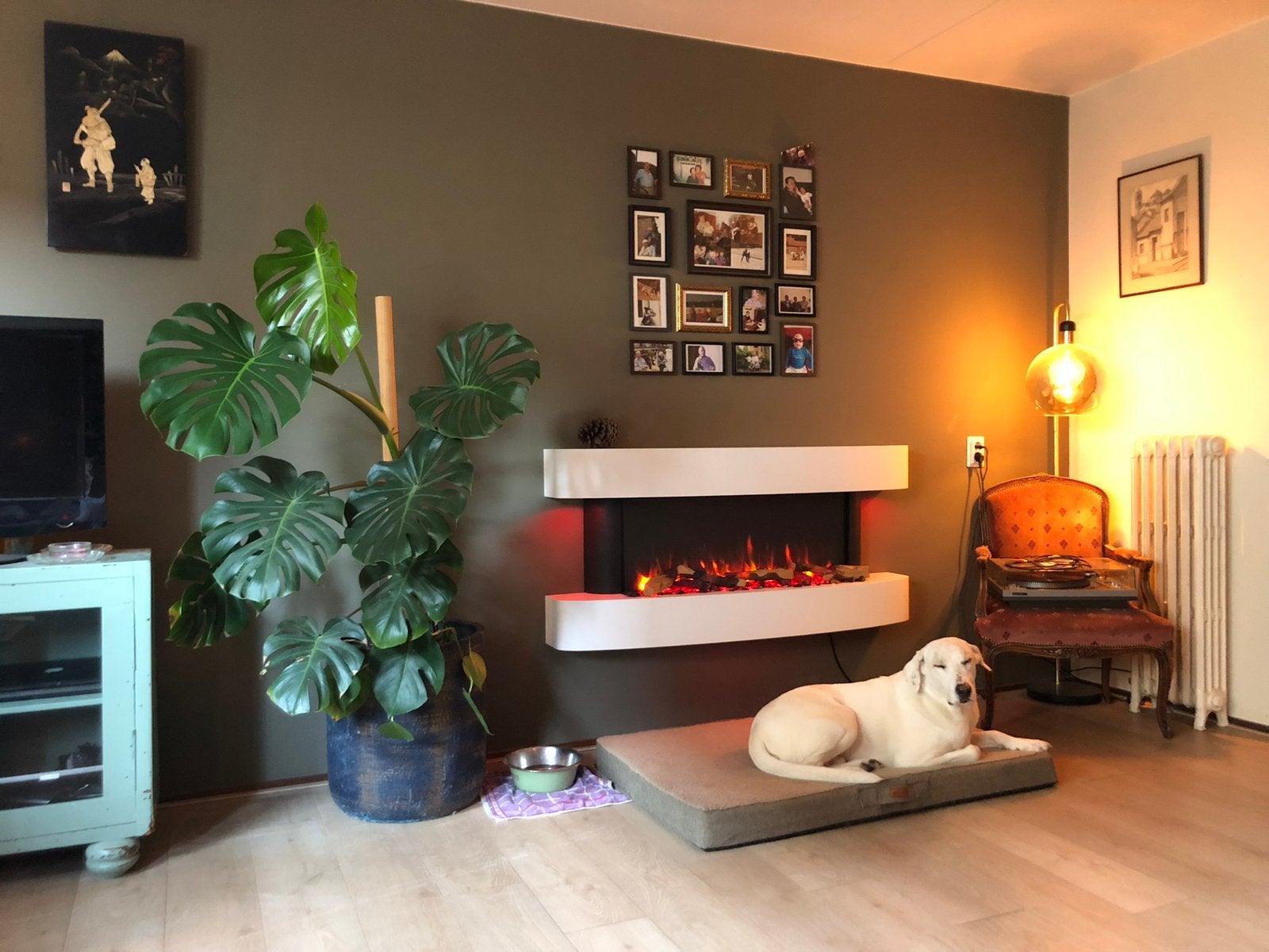 Gazco Cerreto Estudio 140 Haard, Ophalen, Zo goed als nieuw, Hangende haard, Elektrische haard