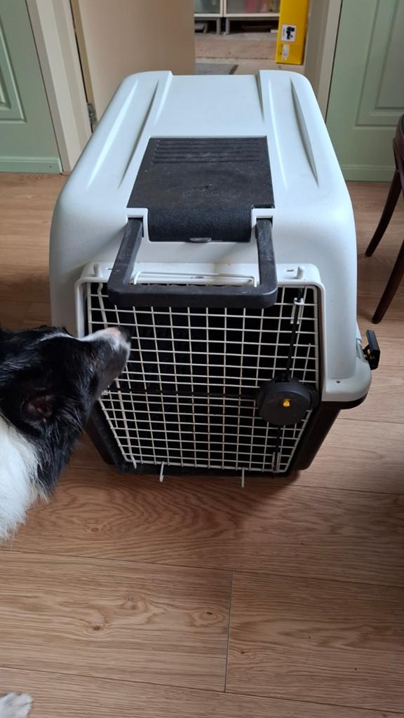 Honden - Huisdierenbench, Dieren en Toebehoren, Hondenbenches, Ophalen of Verzenden