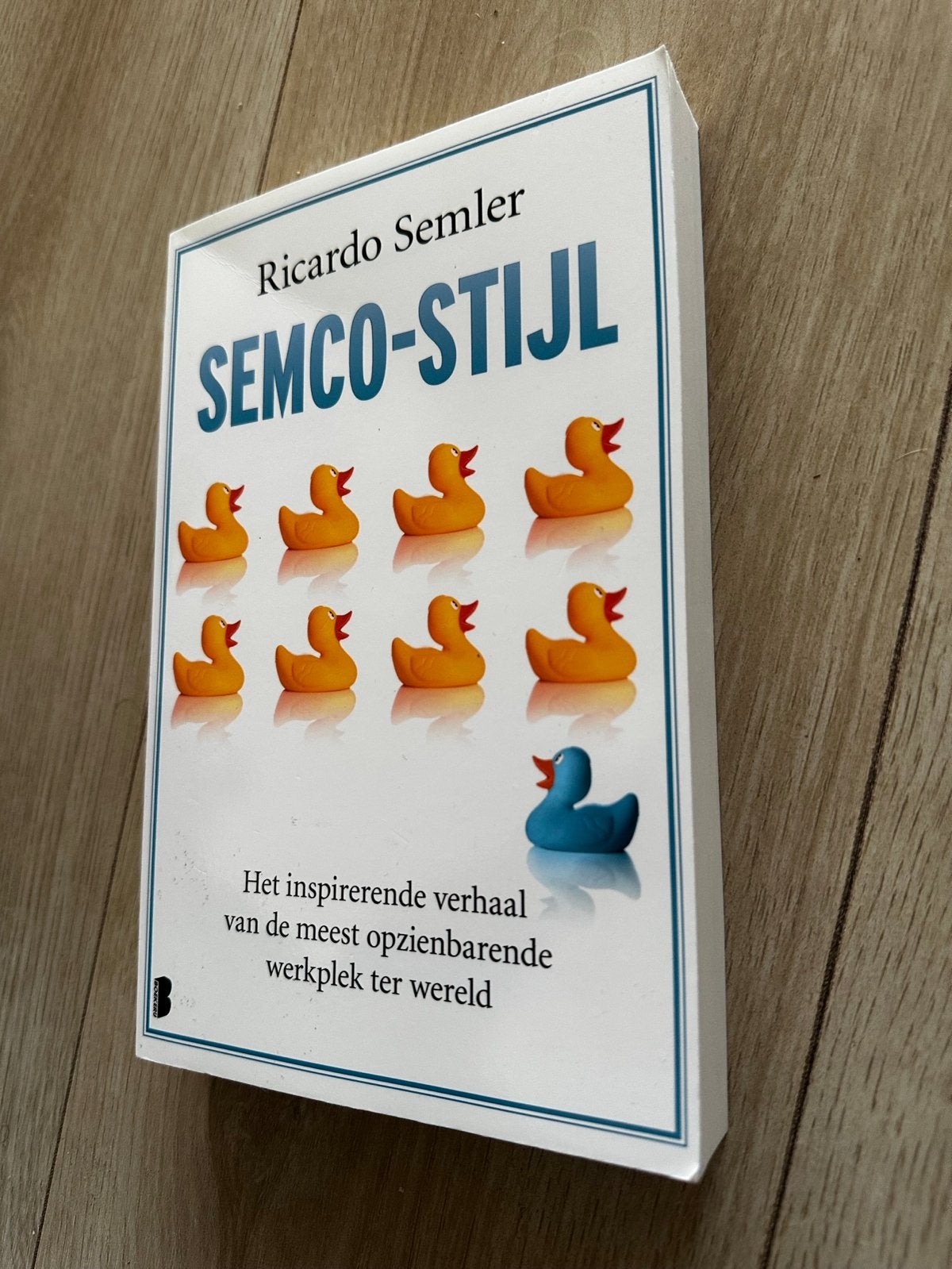 Semco-Stijl - Ricardo Semler - Managementboek, Ophalen of Verzenden, Zo goed als nieuw, Management