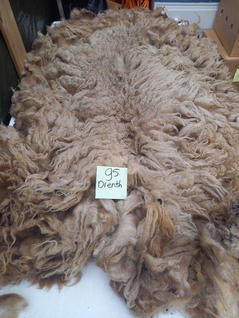 nr 95 Geschoren vacht van Drents heideschaap, Ophalen of Verzenden, Nieuw