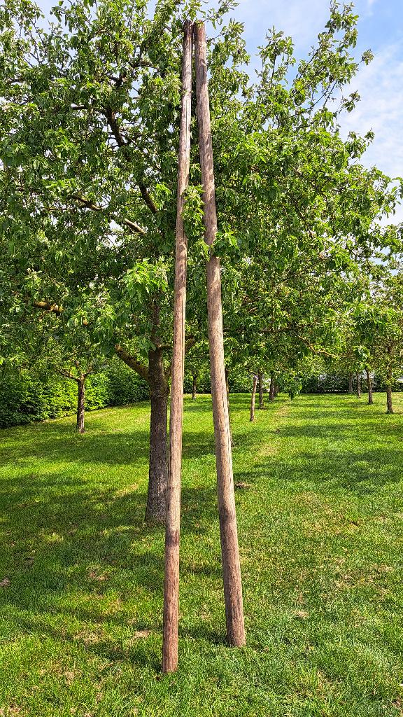 Creosoot palen 5 meter + grondankers, Tuin en Terras, Ophalen, Gebruikt, 250 cm of meer, Palen