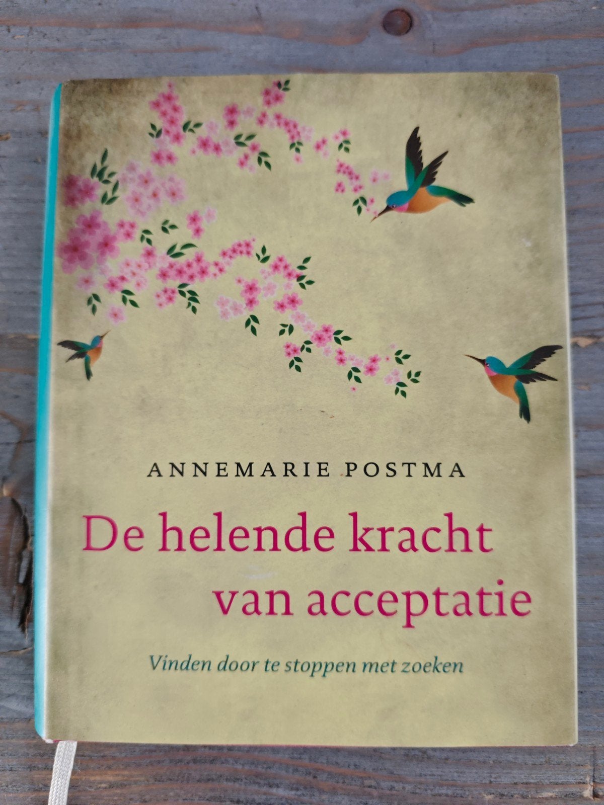 Annemarie Postma - De helende kracht van acceptatie, Spiritualiteit algemeen, Ophalen of Verzenden, Zo goed als nieuw, Achtergrond en Informatie
