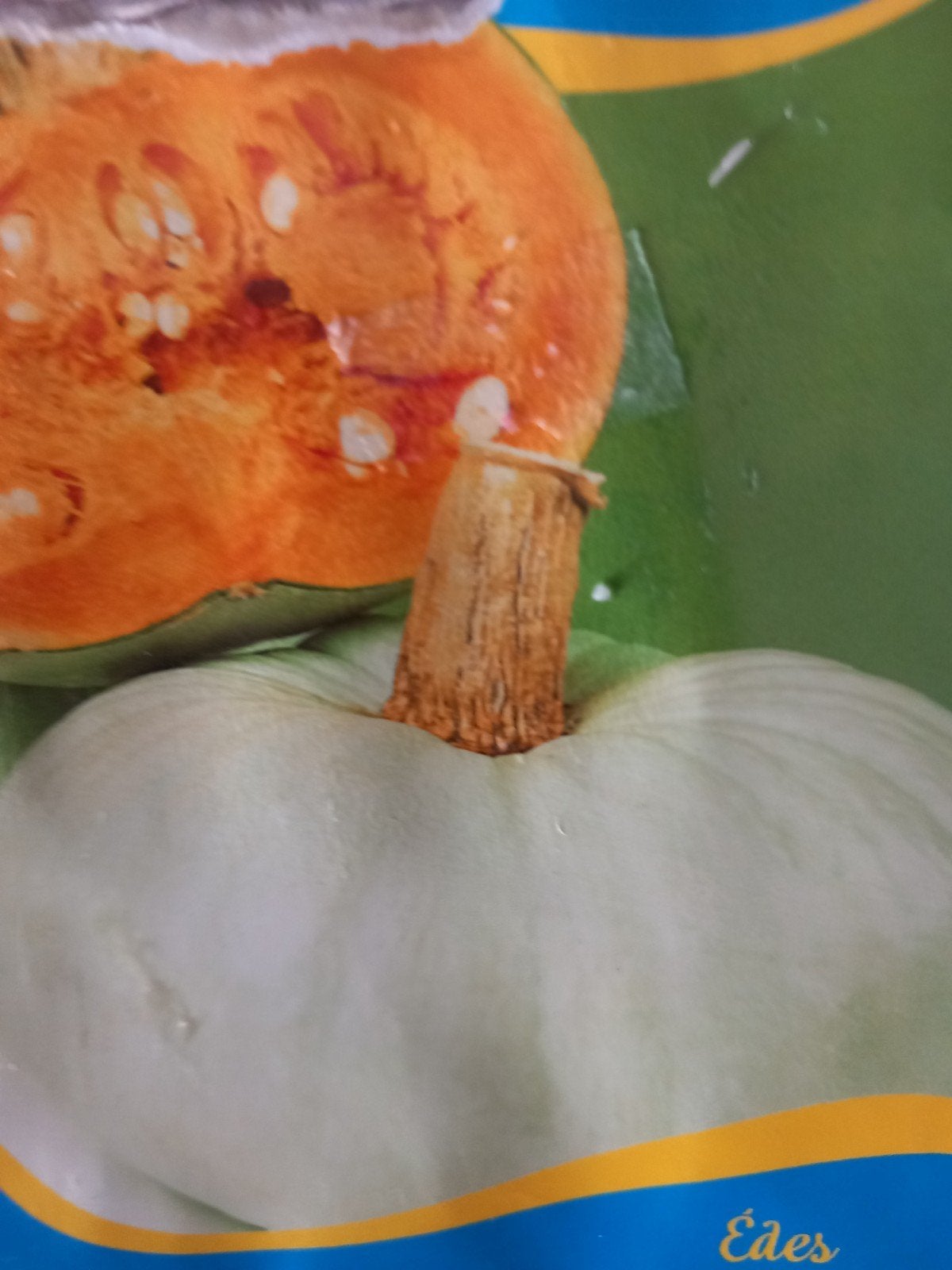 Pompoenen Hongaarse Blauwe, Ophalen, Overige soorten, Volle zon