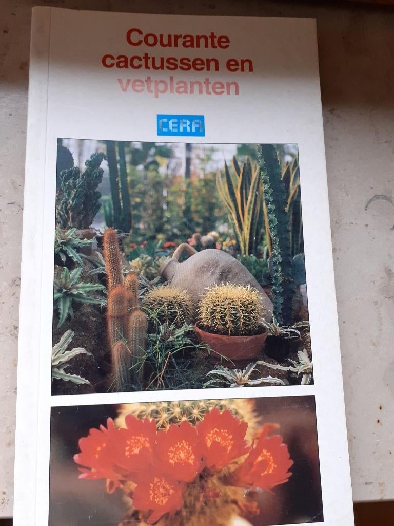 Vintage boekje over cactussen en vetplanten., Ophalen of Verzenden, Zo goed als nieuw, Kamerplanten