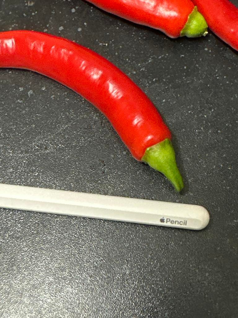Apple Pencil (2e generatie), Computers en Software, Apple iPads, 10 inch, Apple iPad, Wit, Ophalen of Verzenden