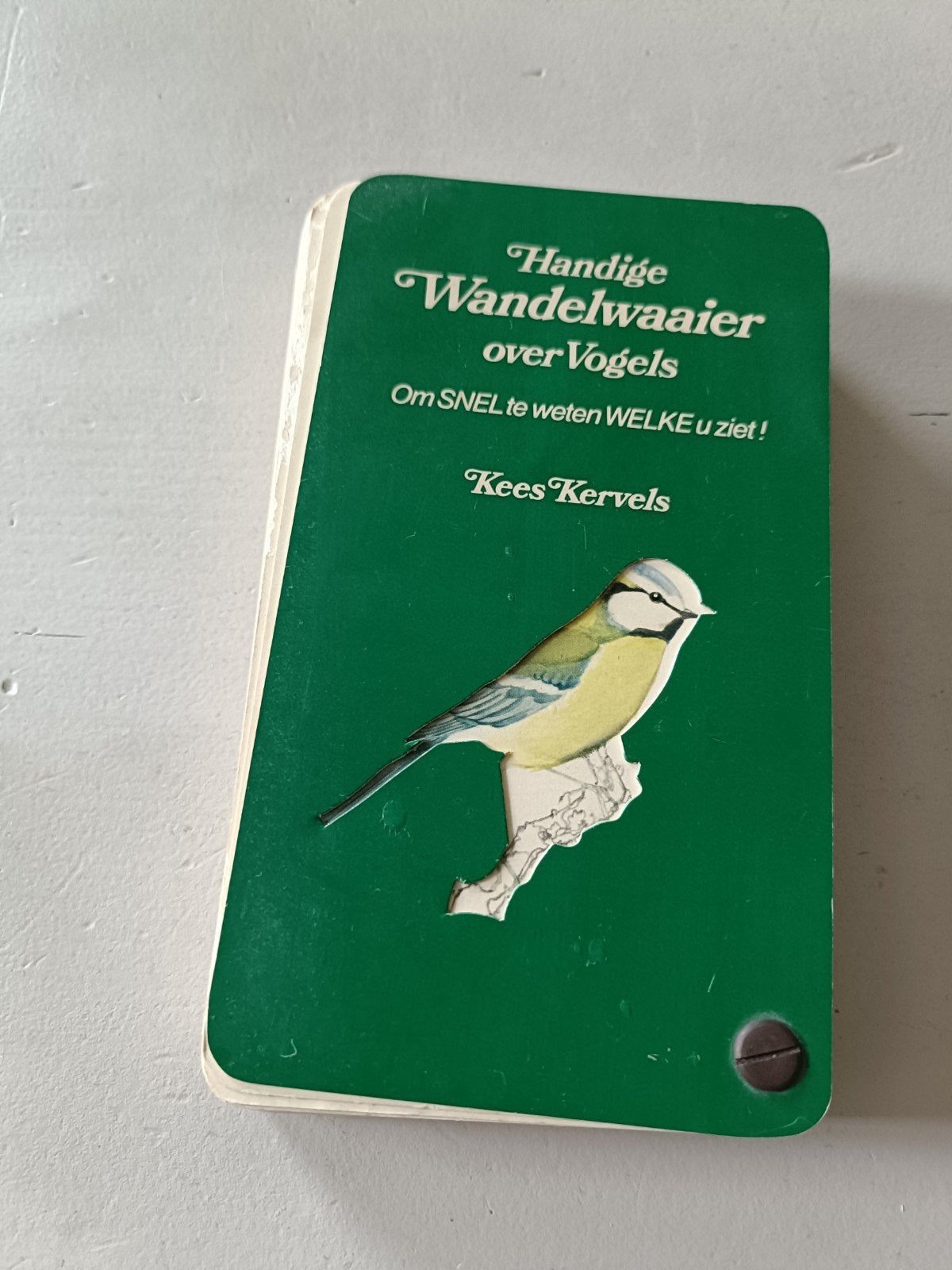 Handige wandel waaier over vogels Kees Kervels, Boeken, Ophalen of Verzenden, Zo goed als nieuw, Vogels