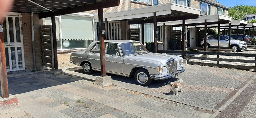 Mercedes 250S (W108), Auto's, Oldtimers, Mercedes-Benz, Grijs, Particulier, Sedan