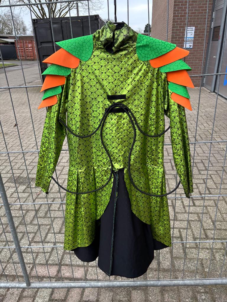 Carnavals pakjes krokodil en Vogel, Carnaval, Onbekend, Kleding, Gedragen