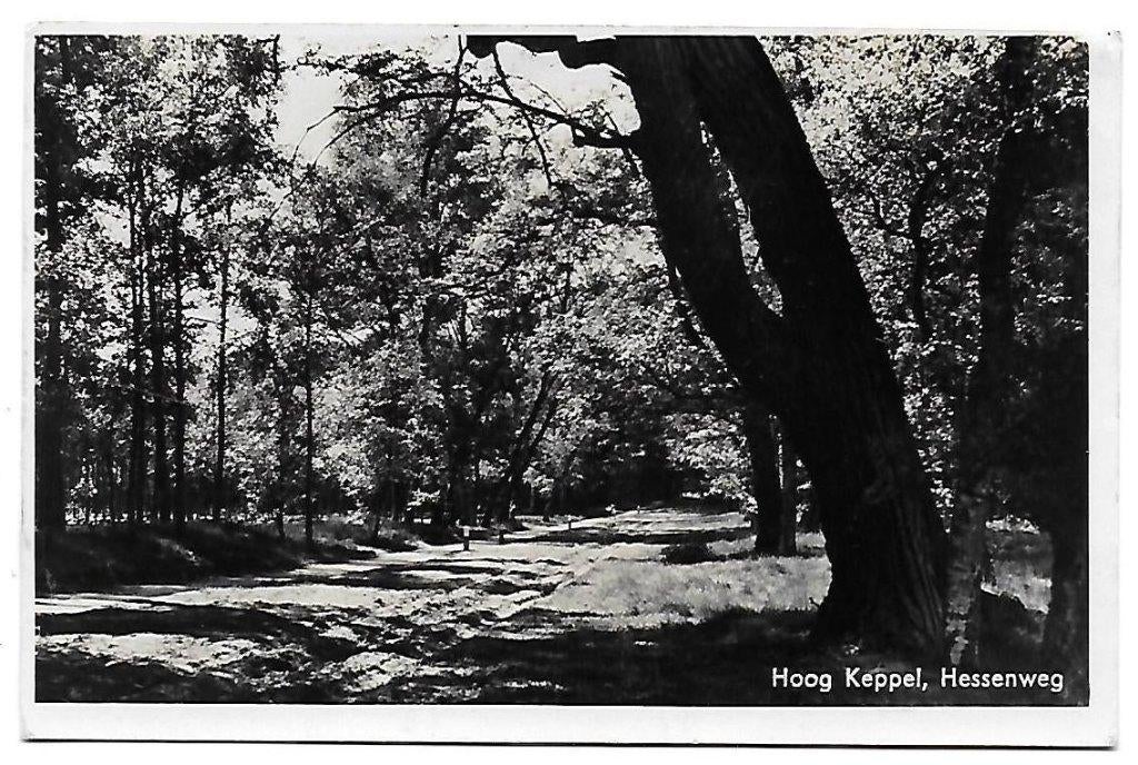 Hoog Keppel Hessenweg Oude Gelopen Ansichtkaart ( B1505 ), Ophalen of Verzenden, 1940 tot 1960, Gelopen, Gelderland