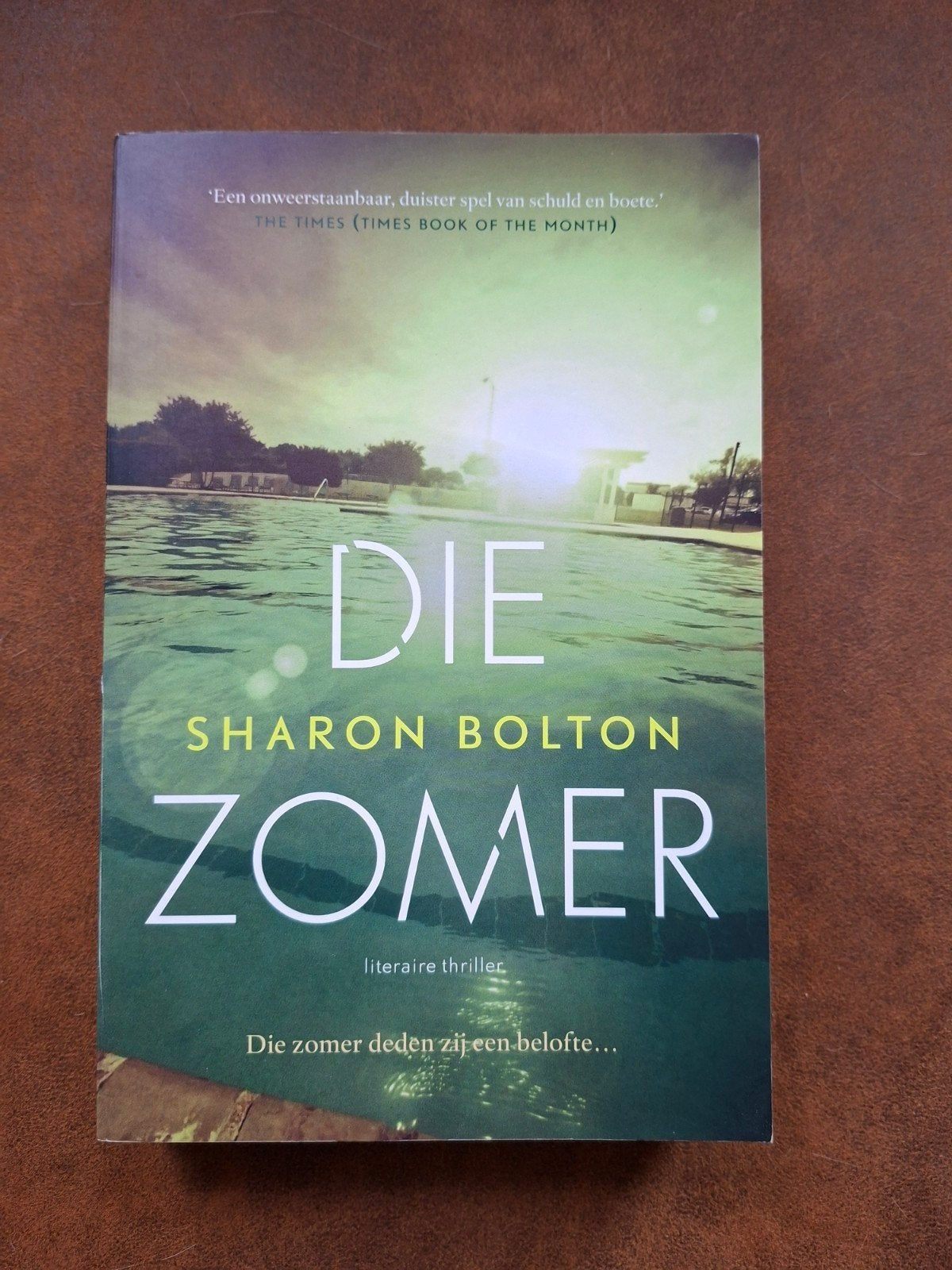 Die Zomer - Sharon Bolton (literaire thriller), Boeken, Thrillers, Ophalen of Verzenden, Zo goed als nieuw, Sharon Bolton, Nederland