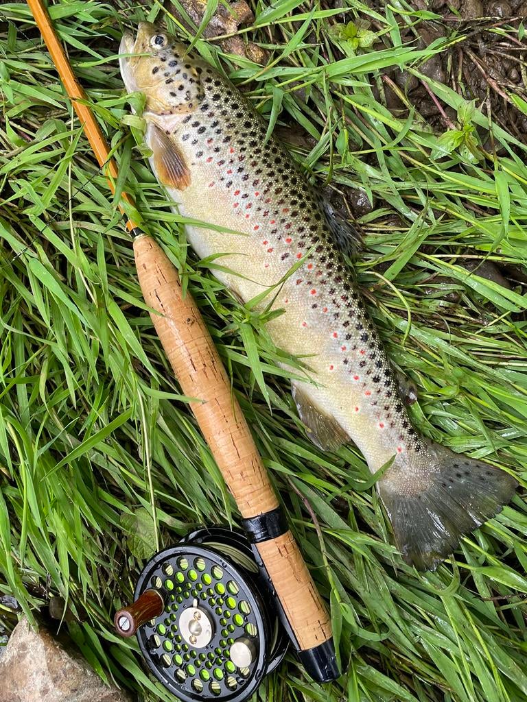 Brunner Splitcane  Vlieghengel.          Hardy / Orvis, Ophalen of Verzenden, Gebruikt, Overige typen