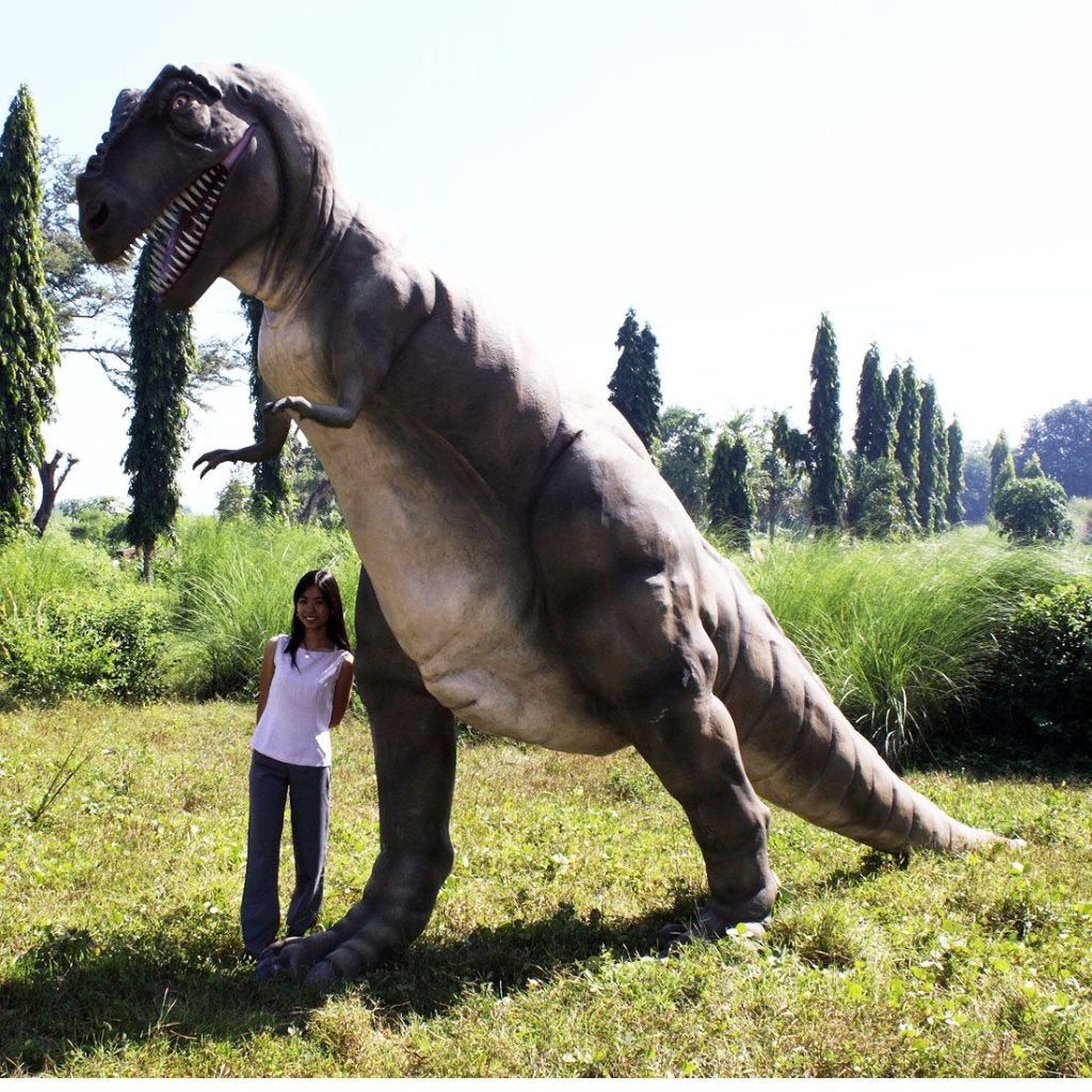 T-REX 14 meter lang - levensgrote Tyrannosaurus rex beeld, Ophalen, Nieuw, Overige typen