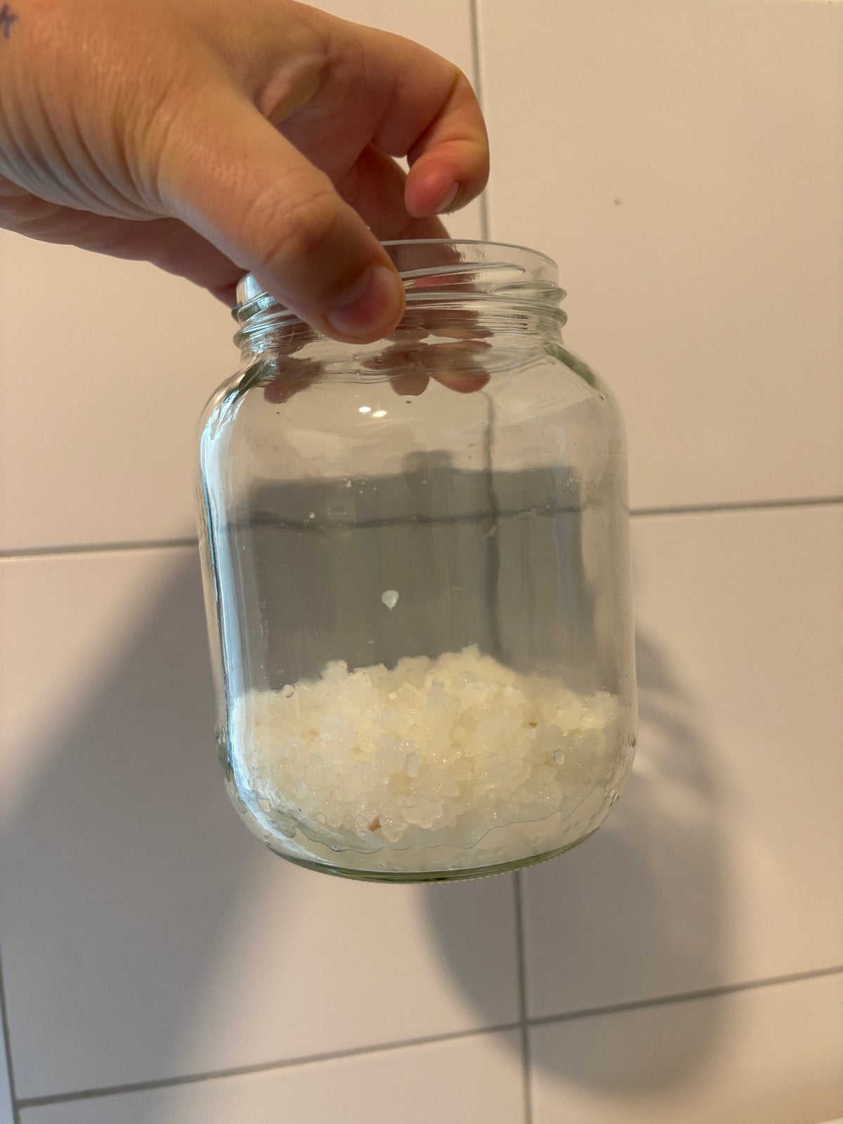 Water kefir korrels, Ophalen of Verzenden