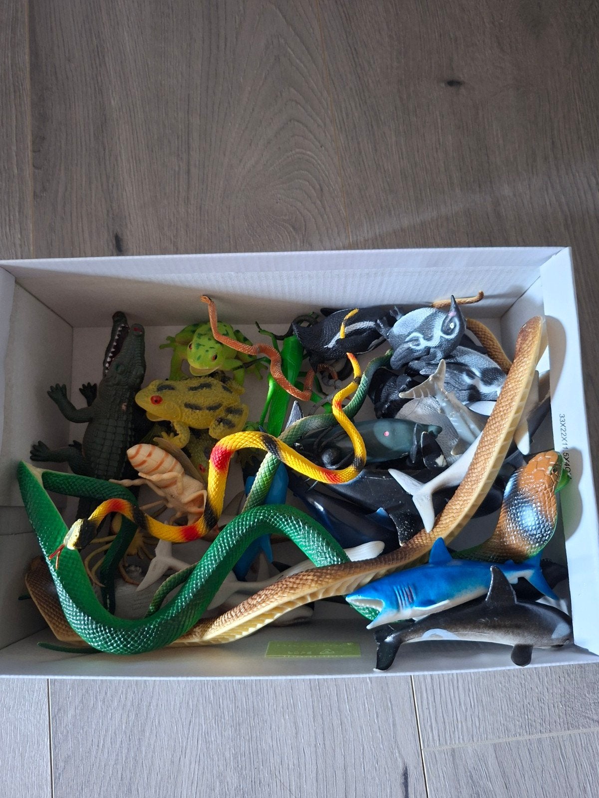 dolfijnen pinguïns kikkers krokodillen ed, Ophalen of Verzenden, Jongen of Meisje