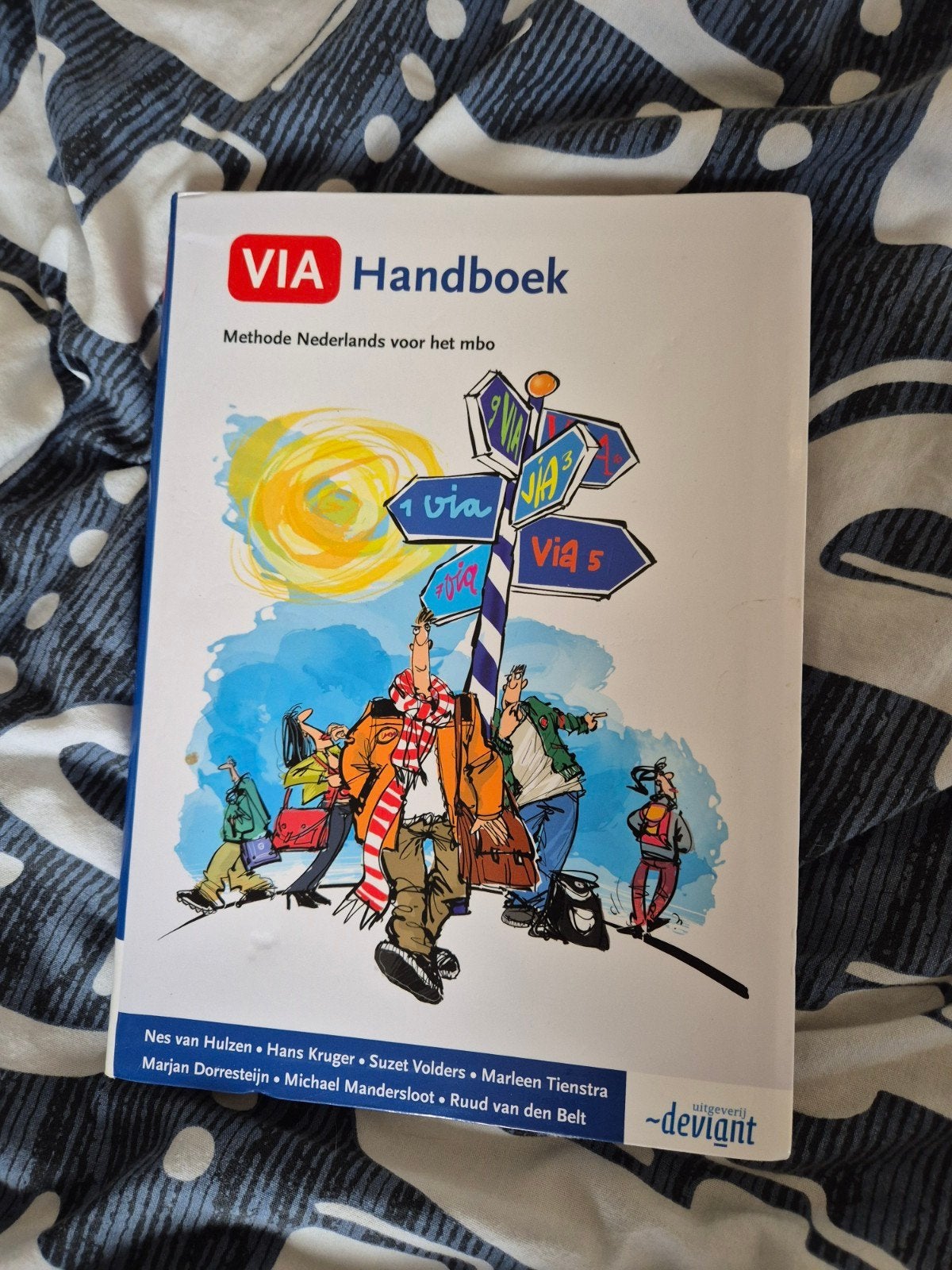 VIA Handboek Methode Nederlands voor het mbo, Ophalen of Verzenden, Zo goed als nieuw, Nes van Hulzen, Hans Kruger, Suzet Volders, Marleen Tienstra