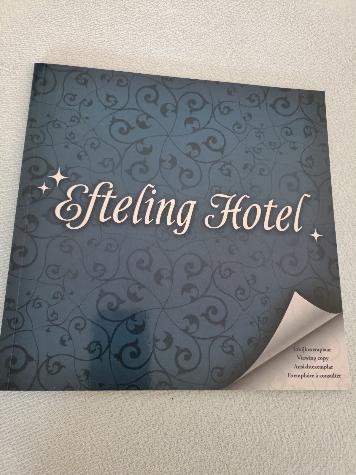 Efteling hotel, Ophalen of Verzenden, Overige typen