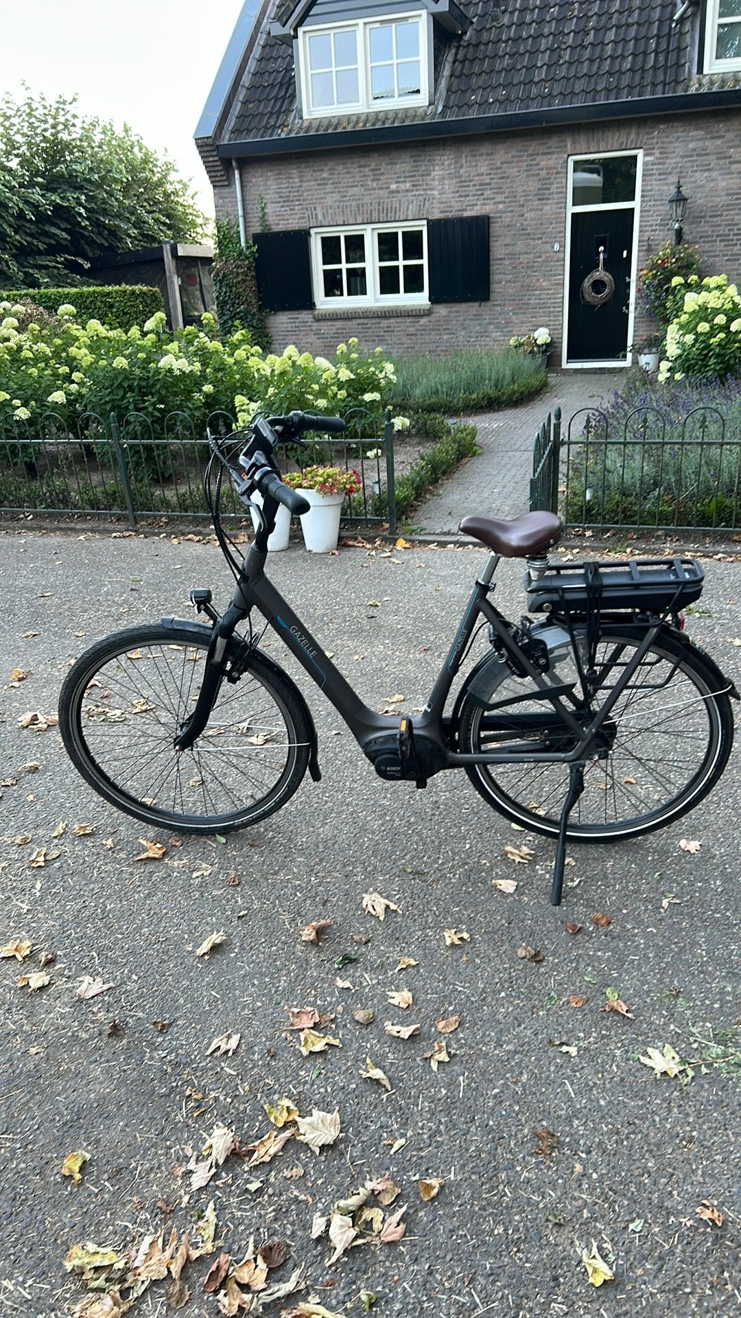 Hele mooie gazelle orange limited edition elektrische fiets, Fietsen en Brommers, Elektrische fietsen, Ophalen, Zo goed als nieuw