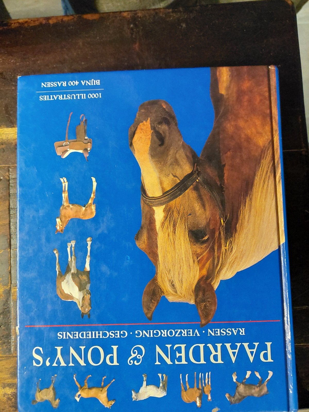 Paarden & Pony's: Rassen, Verzorging, Geschiedenis, Ophalen of Verzenden, Gelezen, Paarden of Pony's