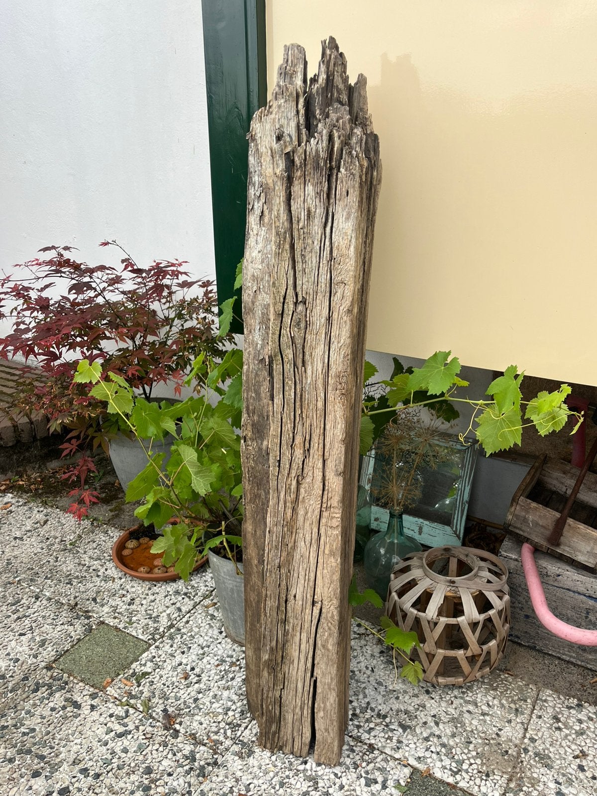 Decoratieve biels spoorbiels drijfhout hardhout, Tuin en Terras, Ophalen, Gebruikt, Palen, Hardhout
