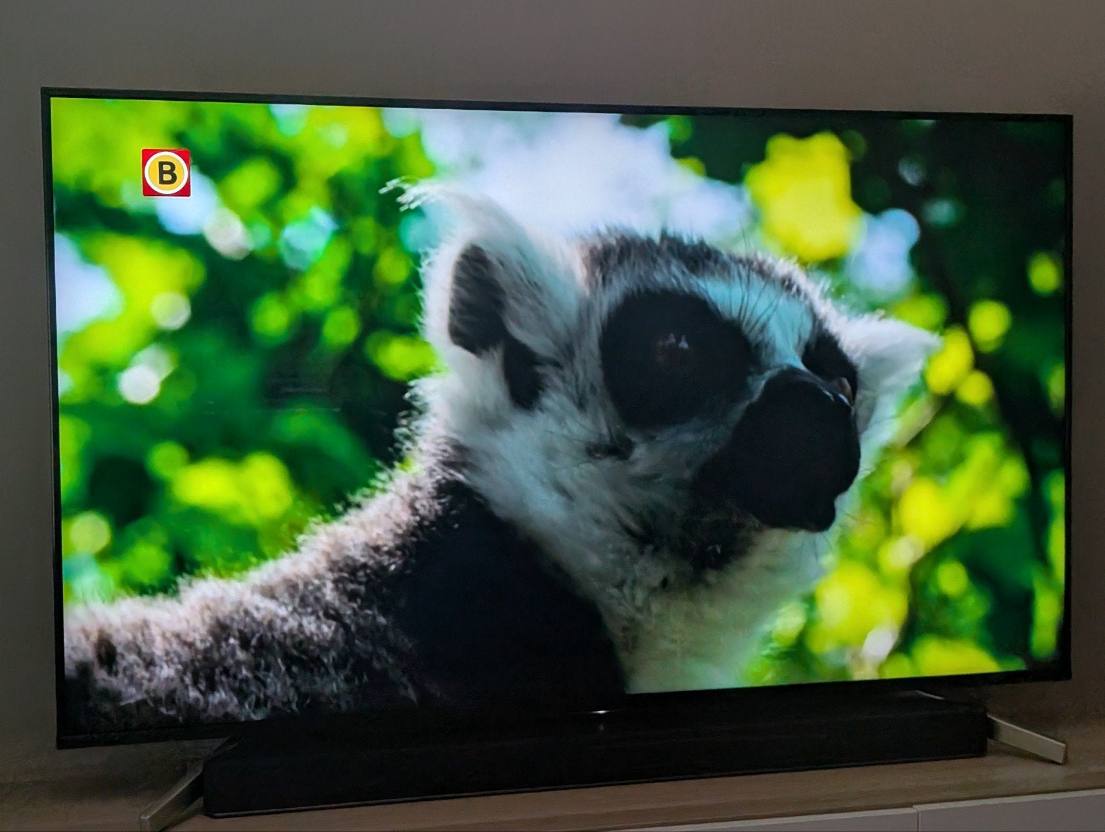 Sony 55 inch 4K Android TV KD-55XF8596, Audio, Tv en Foto, Televisies, Ophalen, 50 Hz, Zo goed als nieuw, Sony