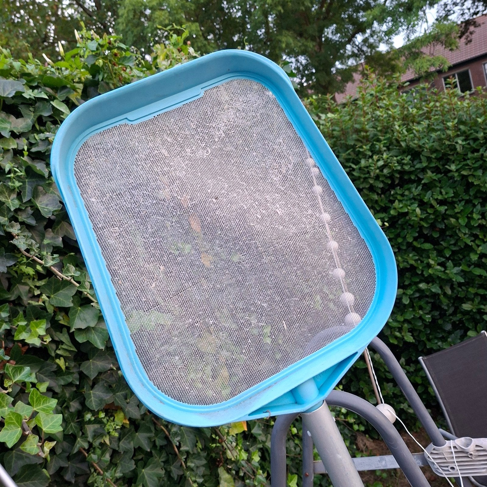 Zwembad schepnet met telescopische steel, Tuin en Terras, Ophalen, Gebruikt, Overige typen